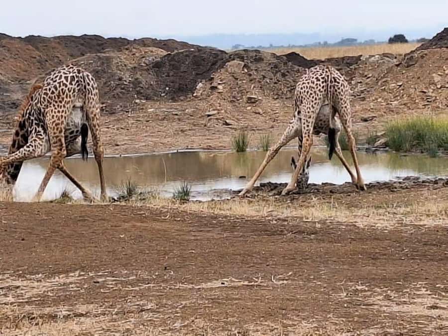 Amboseli National Park 3-Day Safari from Nairobi - Observation Hill and the wide Amboseli view