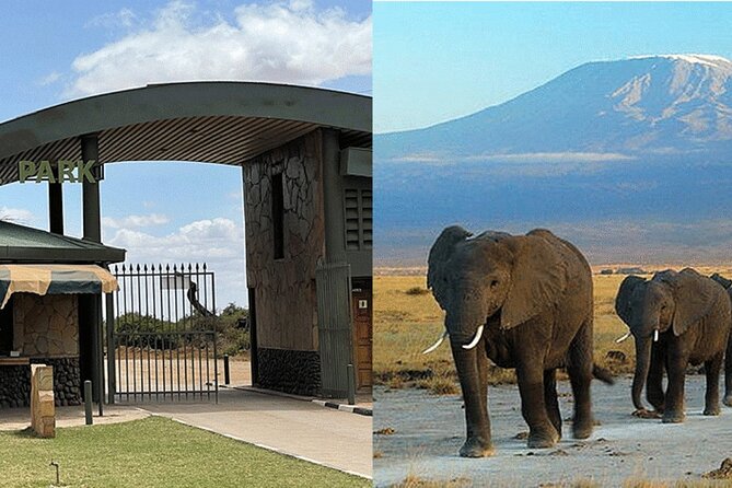 Amboseli National Park Day tour; Free Wifi Connection - The afternoon exit drive keeps the day moving