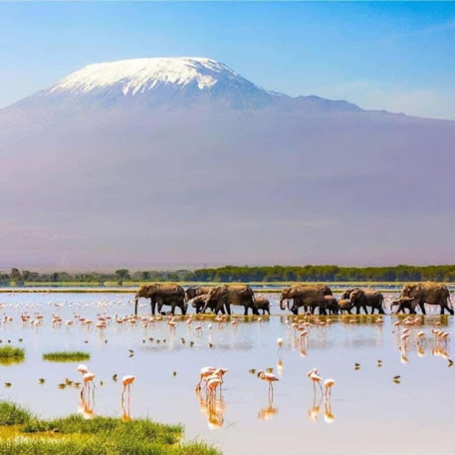 Amboseli National Park Day Trip and Maasai Village Visit - Who should book this experience?