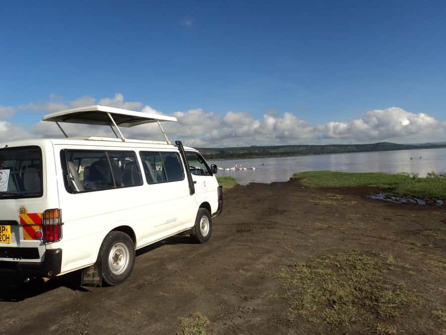 Amboseli National Park Day Trip from Nairobi - Why Amboseli works for a day trip from Nairobi
