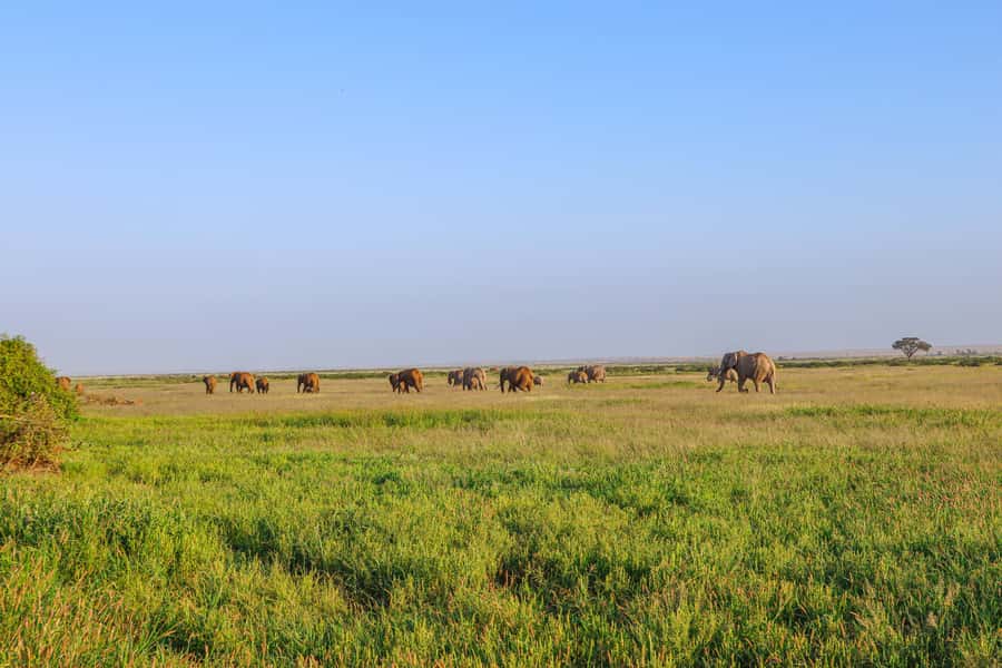 Amboseli National Park: Daytrip from Nairobi in a 4X4 Jeep - The return drive to Nairobi