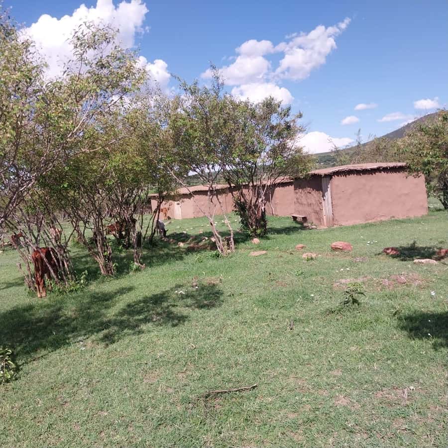 Amboseli Wildlife Day Tour And Masai Village Visit - Why Amboseli works as a one-day safari