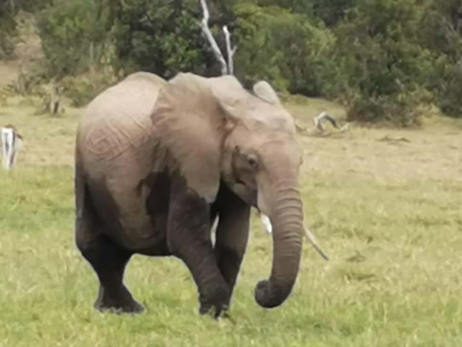 Amboseli Wildlife Day Tour And Masai Village Visit - Emali and the road toward Amboseli