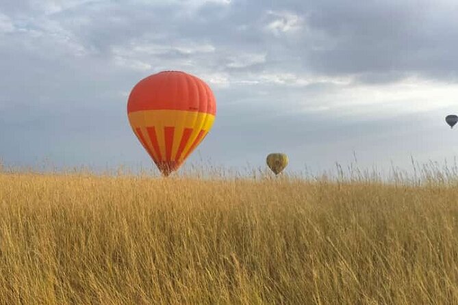 Balloon Safari in Maasai Mara - Key points to know before booking
