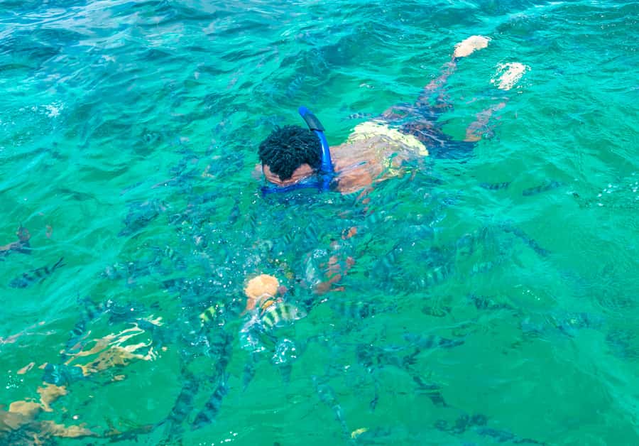 Blue Safari: Snorkeling at Watamu Marine Park & Seafood - Key points to know before booking