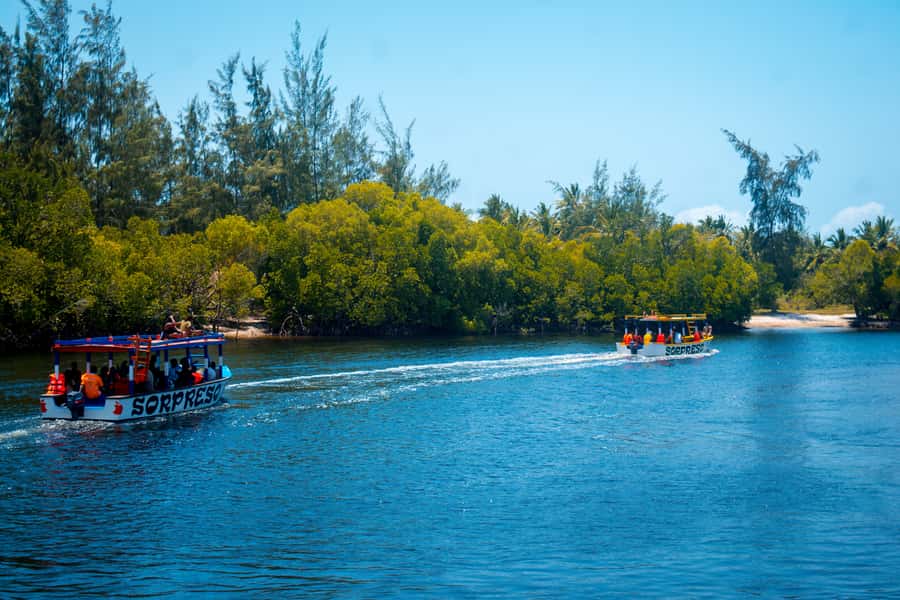 Blue Safari: Snorkeling at Watamu Marine Park & Seafood - Dolphin spotting depends on the calendar