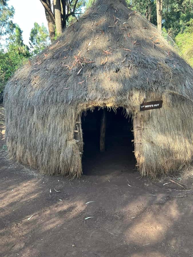 Bomas Of Kenya Cultural Experience - The arena show: dance, music, folklore, and acrobatics