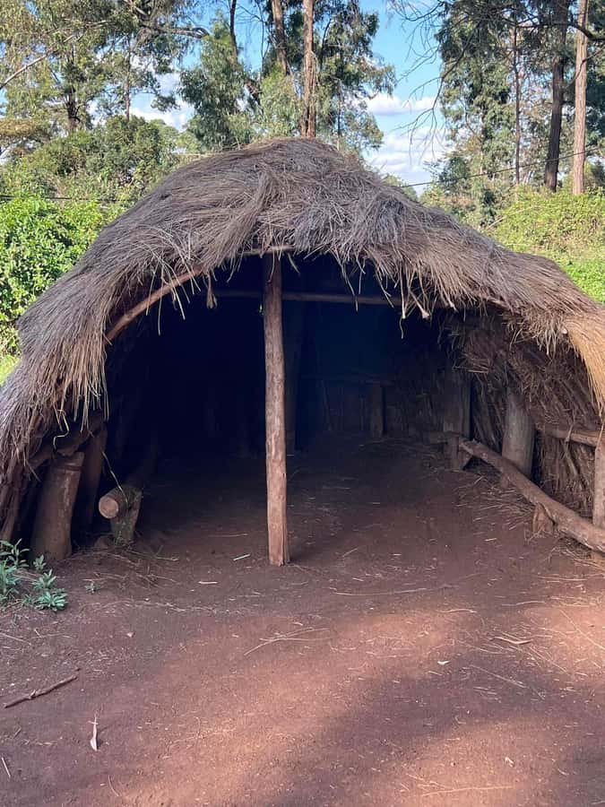 Bomas Of Kenya Cultural Experience - The renovation warning you should take seriously