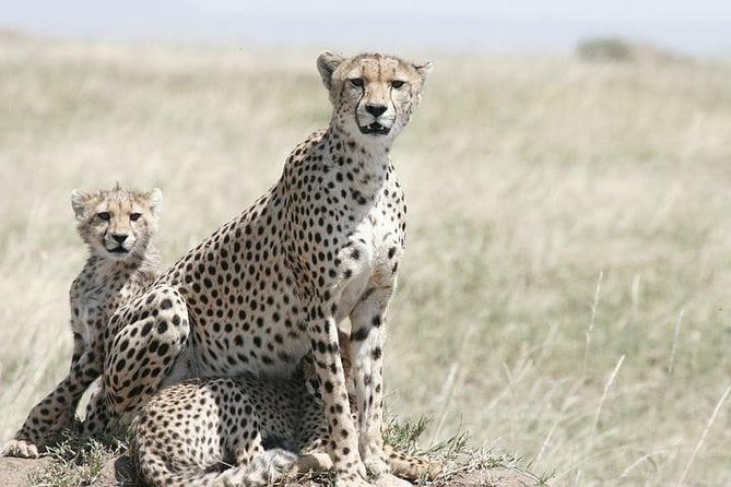 Classic Best Adventure In Kenya And Tanzania 2025 - Why this Kenya and Tanzania route works