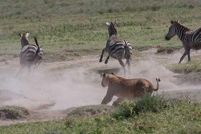 Classic Best Adventure In Kenya And Tanzania 2025 - Day 1: A simple Nairobi arrival