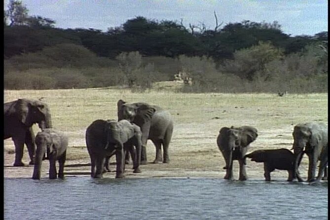 Classic Best of Kenya - Returning to Nairobi on day seven