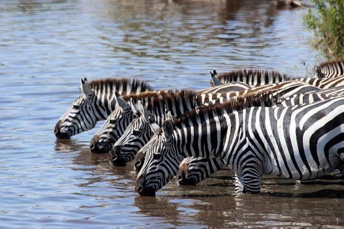 Classic Luxury 4 X 4 Masai Mara Safari - Day 1: From Nairobi to the Great Rift Valley