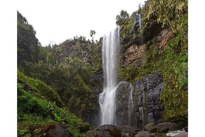 Climbing Mount Kenya 5 Days Via Chogoria Route - The guides, cook, and porters