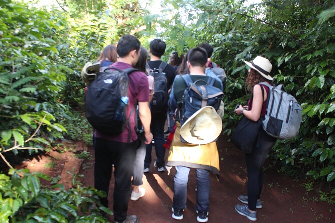 Coffee farm tour, coffee roasting and tasting experience - Roasting your own beans to take home