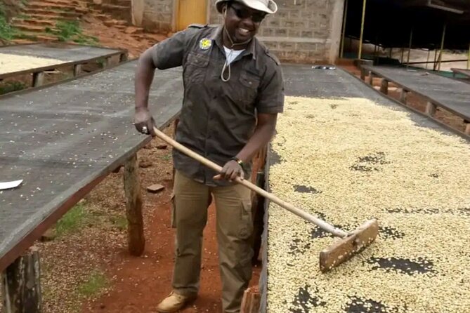 Coffee farm tour, coffee roasting and tasting experience - Fresh Arabica coffee and simple refreshments