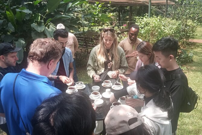 Coffee Farm Tour (Fairview) - The Guide and the Private Tour Format