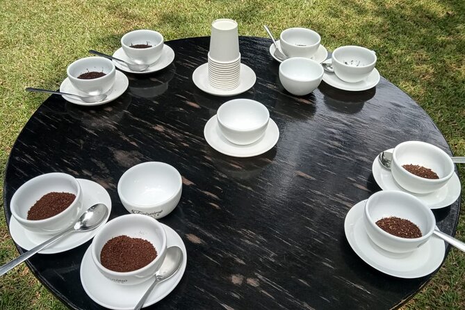 Coffee Farm Tour (Fairview) - What to Know Before You Book