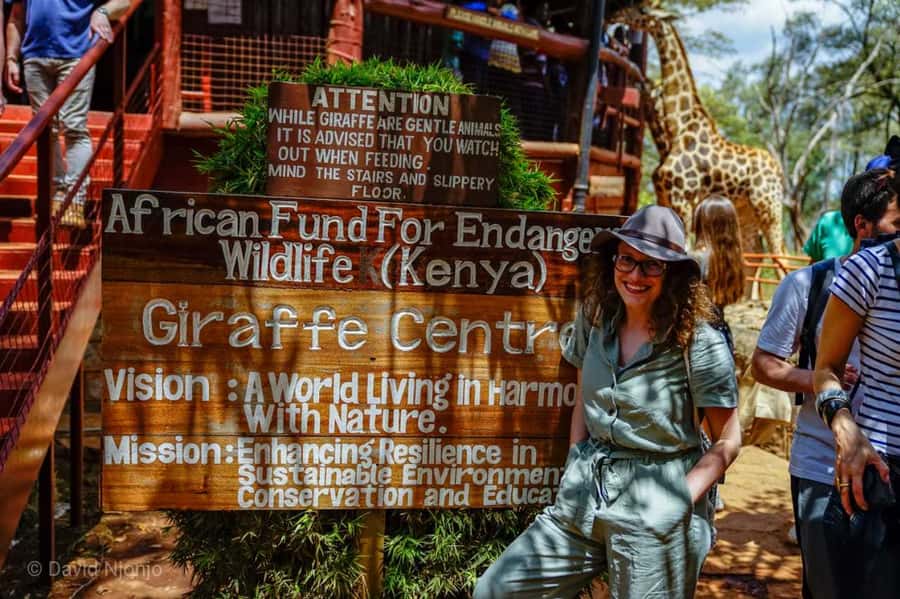 David Sheldrick Wildlife Trust & Giraffe Center with Lunch - Getting close to the giraffes at about 9 a.m.