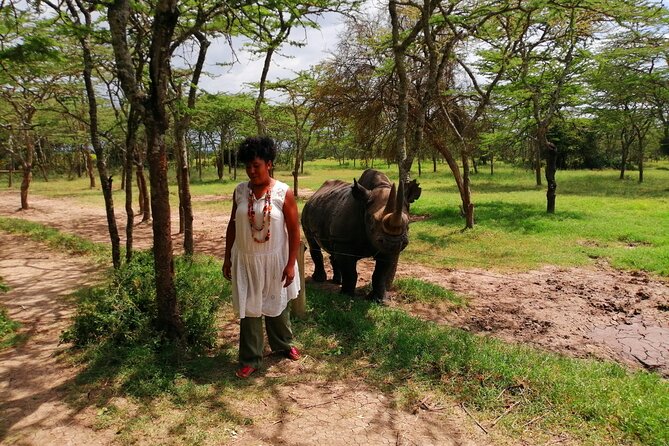 Day safari to Olpejeta Rhino conservancy - Leaving Nairobi at 5:30 a.m.