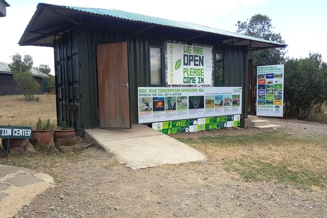 Day safari to Olpejeta Rhino conservancy - Meeting the white rhinos with a ranger