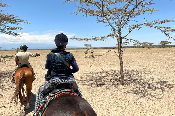 Day safari to Olpejeta Rhino conservancy - What the $250 price really covers