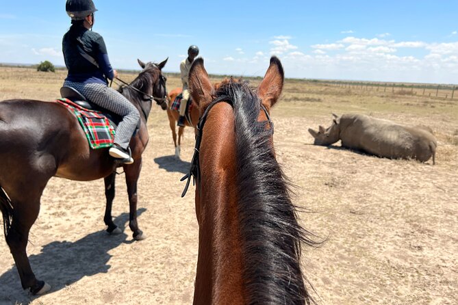 Day safari to Olpejeta Rhino conservancy - Nanyuki coffee, snacks, and the equator needle