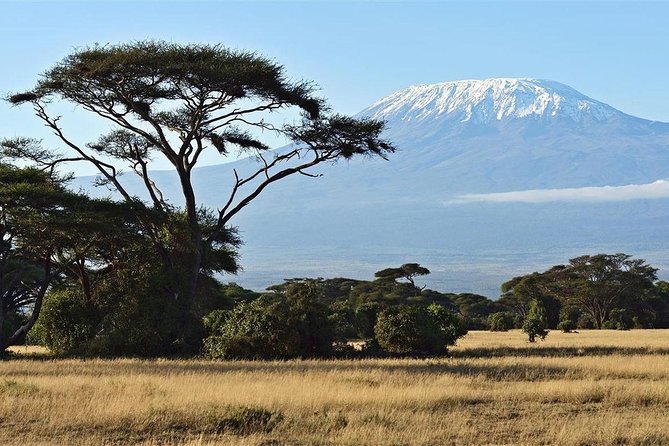 Day Tour - Amboseli National Park From Nairobi - Elephants, wildlife, and the Kilimanjaro view