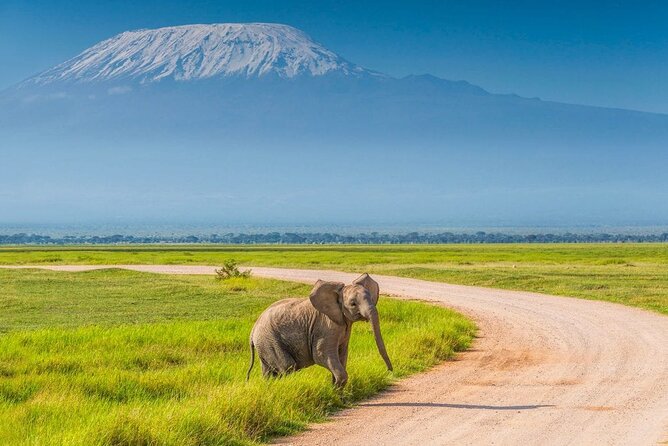 Day Tour - Amboseli National Park From Nairobi - Entering Amboseli for the morning game drive