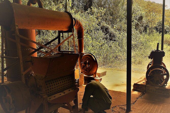 Day Tour Giraffe Center, Karen blixen and Lunch at Carnivore - Who will enjoy this tour most?