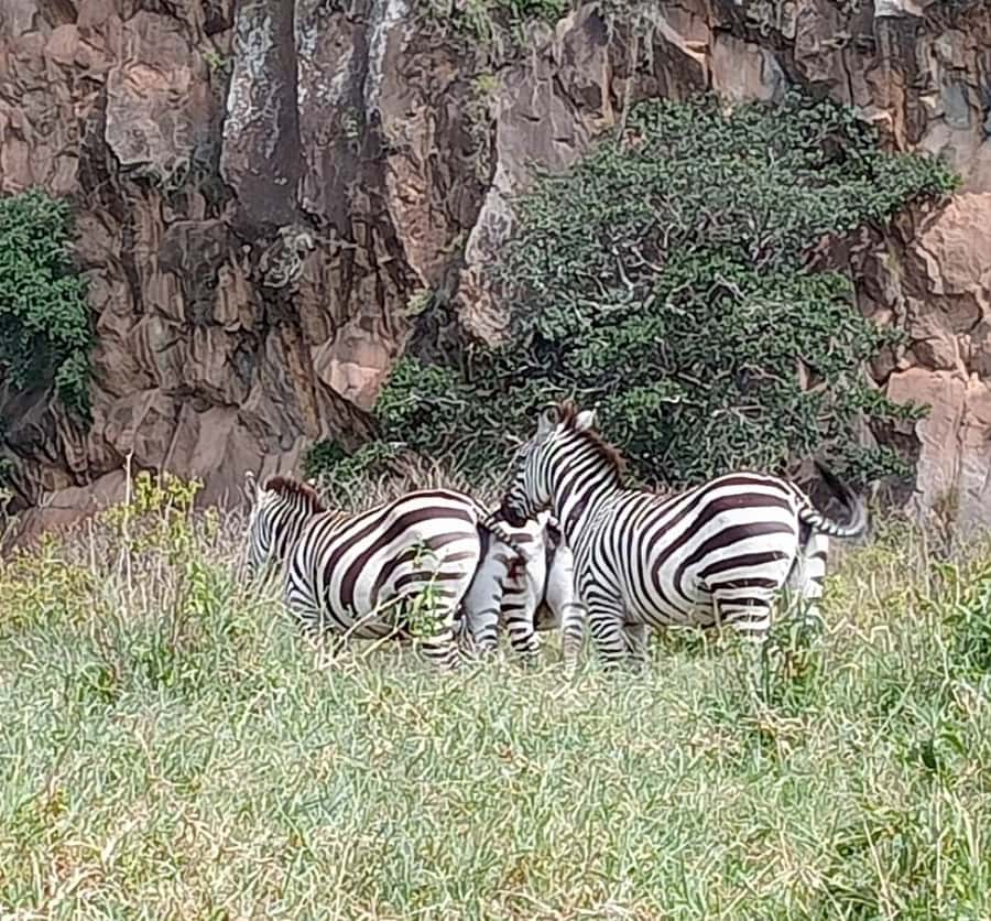 DAY TOUR- LAKE NAIVASHA AND HELL'S GATE PARK-WITH PARK FEES - Hells Gate by bicycle at about 9 am