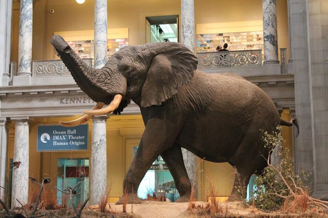 Day Tour Nairobi Museum, Giraffe Centre & Nairobi National Park - Is $301.30 a fair price?