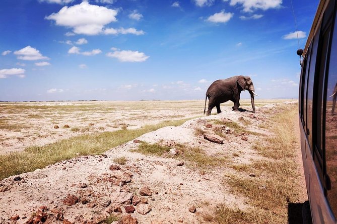 Day Tour to Amboseli National Park - Is $310 a fair price?