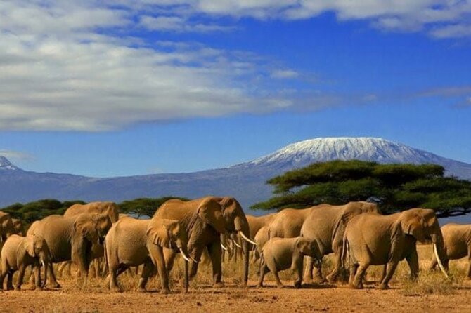 Day tour to Amboseli national park - The 5:00 am departure and the road south