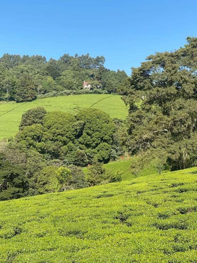 Day Tour to Fairview Coffee Farm - Inside the coffee factory