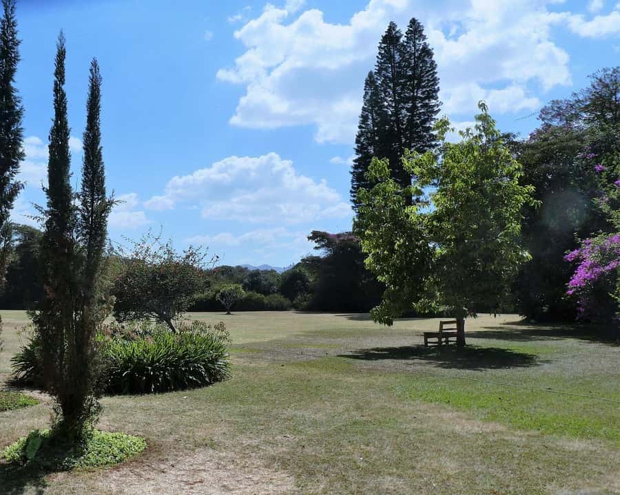 Day Tour to Giraffe Center and Karen Blixen Museum - Should you book the Giraffe Center and Karen Blixen tour?
