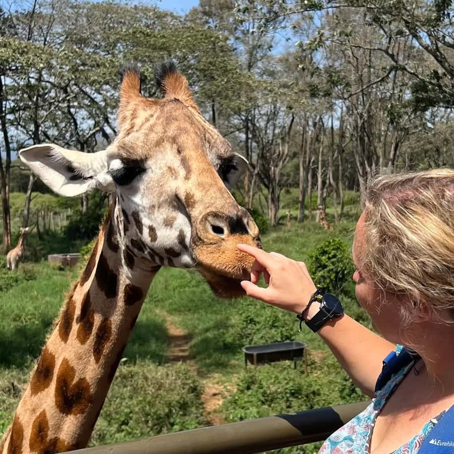 Day Tour to Giraffe Center and Karen Blixen Museum - FAQ