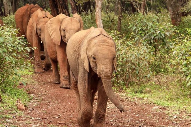 Day tour to Giraffe center and Karen Blixen Nairobi - Kazuri Beads and the value of a local purchase