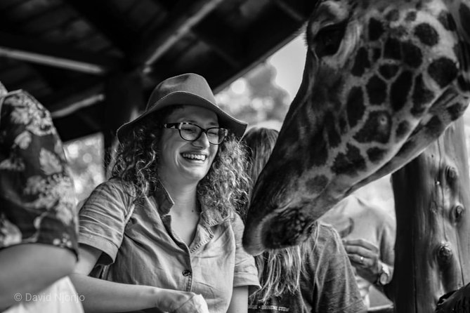 Day tour to Giraffe center and Karen Blixen Nairobi - What the guides add to the day