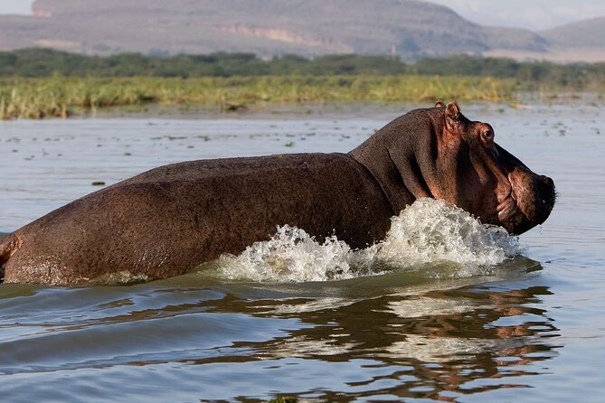 Day tour to Hells Gate, Lake Naivasha and Crescent Island Walk - Leaving Nairobi at 7 am for the Rift Valley