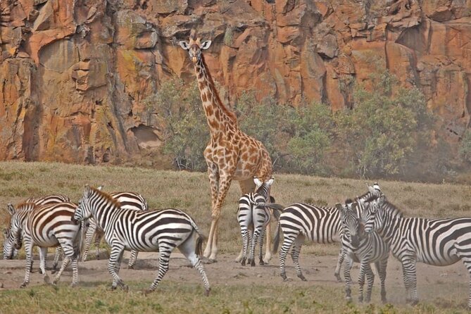 Day tour to Hells Gate, Lake Naivasha and Crescent Island Walk - Lunch near Naivasha at about 1 pm