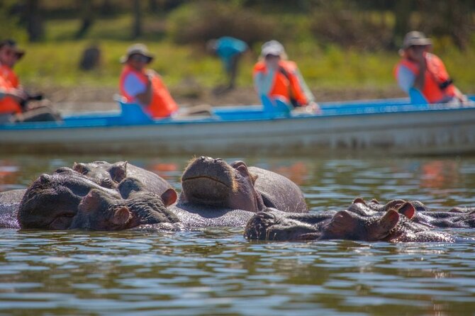 Day tour to Hells Gate, Lake Naivasha and Crescent Island Walk - Crescent Island’s walking safari