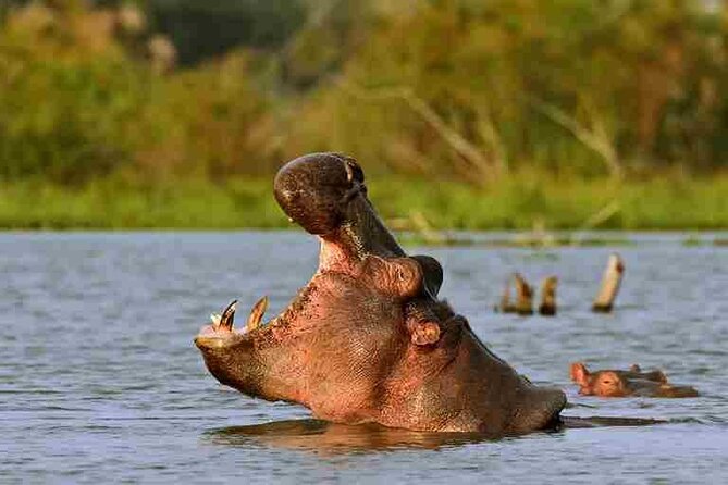 Day tour to Hells Gate, Lake Naivasha and Crescent Island Walk - Returning to Nairobi around 5 pm