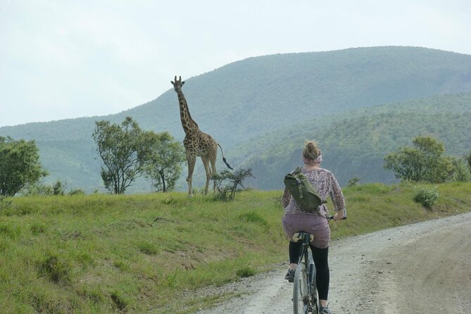 Day tour to Hells Gate, Lake Naivasha and Crescent Island Walk - Is the $160 price good value?