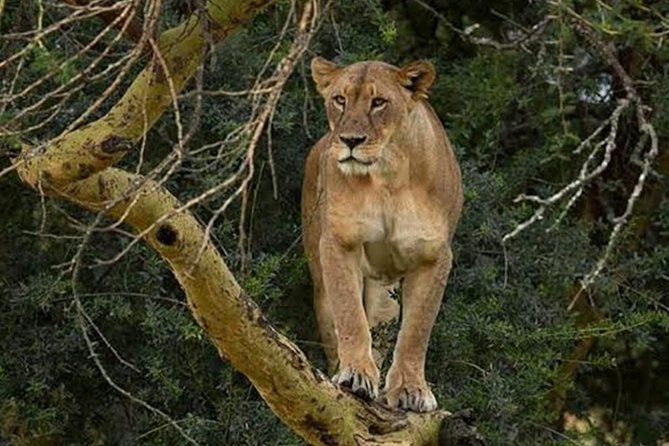 Day Tour To Lake Nakuru Park With Optional Boat Ride on Lake Naivasha - The road to Lake Naivasha