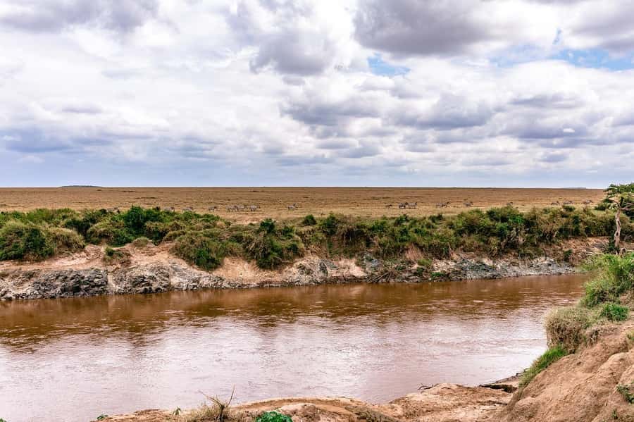 Day Tour to Maasai Mara & optional Maasai village visit - Entering through Sekenani Gate