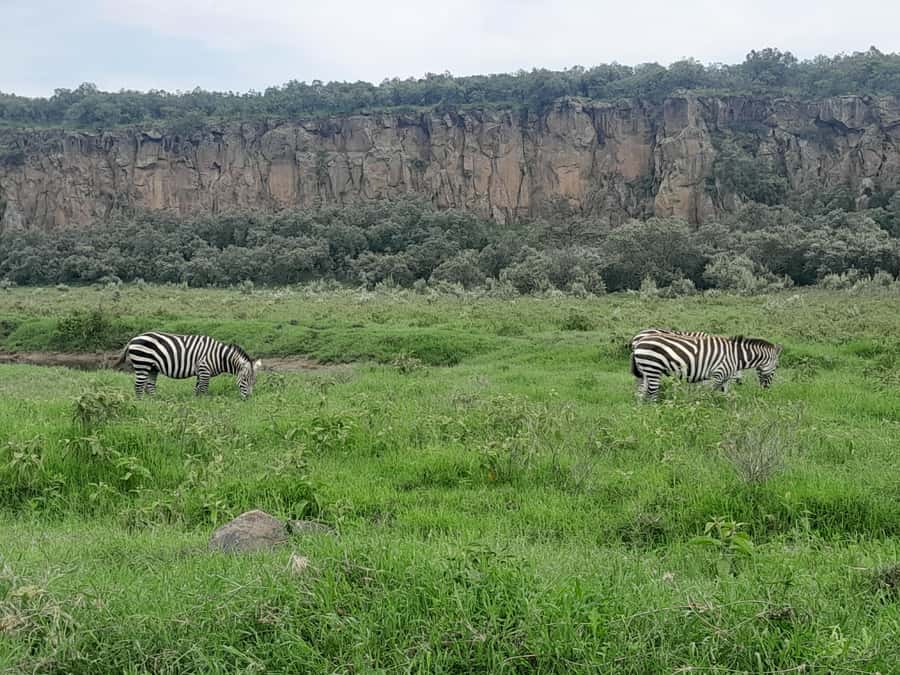 Day tour to Mount Longonot - Key points to know before you book