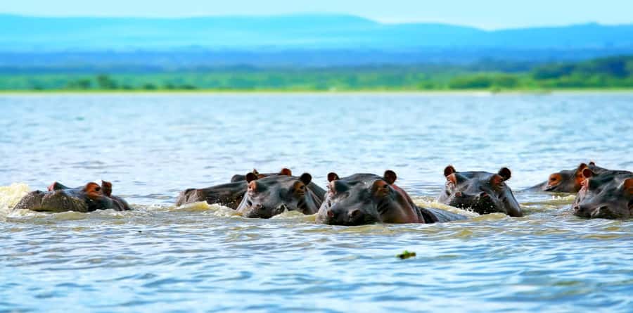 Day Tour To Mount Longonot Park From Nairobi - Who should book this Mount Longonot outing?
