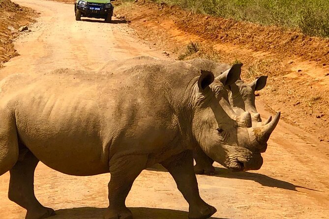 Day Tour to Nairobi National Park and Giraffe Center - What the strongest guide service looks like