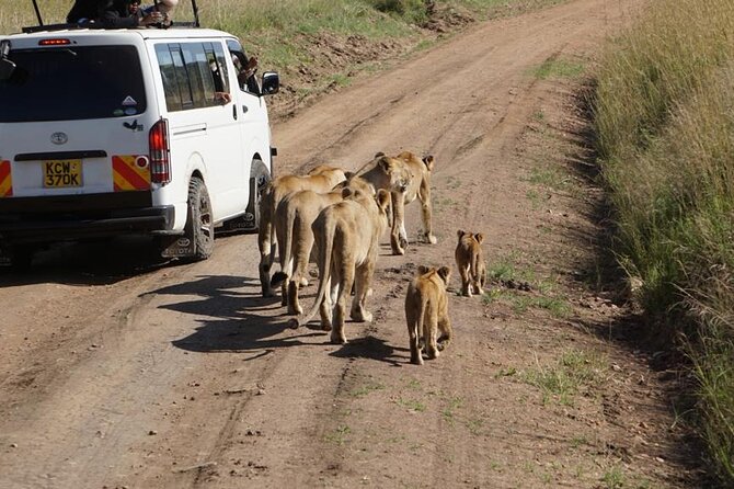 Day Tour to Nairobi National Park and Giraffe Center - Who should book this day trip