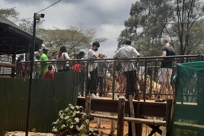 Day Tour to Nairobi national park, Elephants, and Giraffe Center - Nairobi National Park and the extra conservation fee